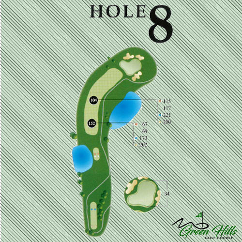 Hole #8