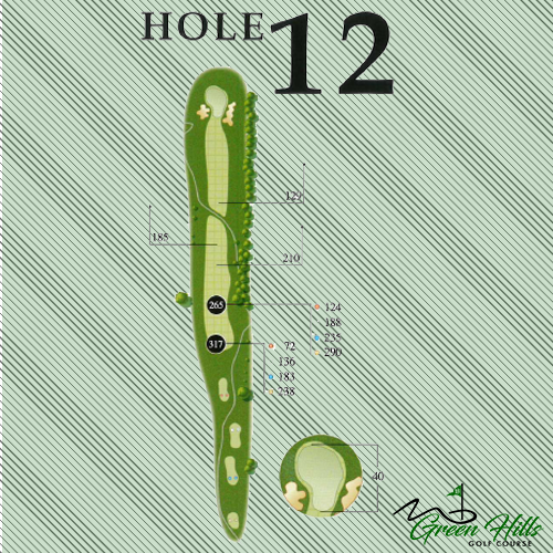 Hole #12